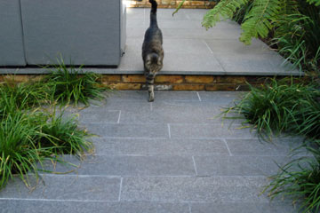 Small Paved Garden in Ealing